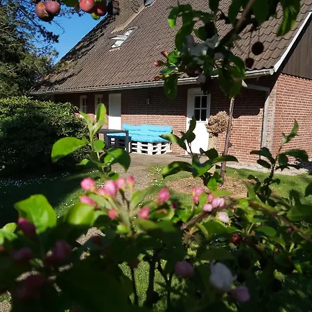 Altes Land Bei Hh Appartamento