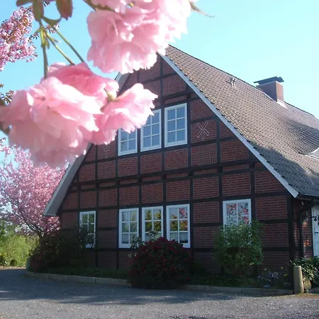 Altes Land Bei Hh Jork